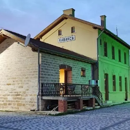 Istasyon Doga Subasi (Istanbul)